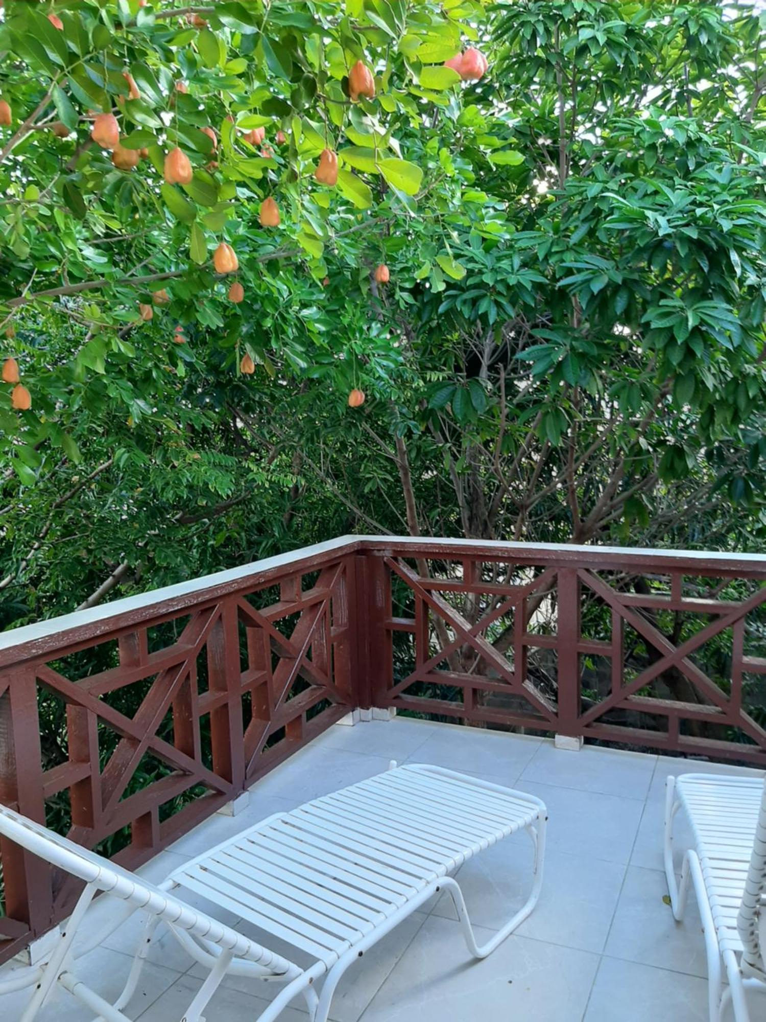 Patmay Greenery. Fresh Air, Vacation Get Away. *